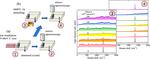 Lattice damage in 9-MeV-carbon irradiated diamond and its recovery after annealing