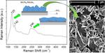 Growth of out-of-plane standing MoTe$_{2(1-x)}$Se$_{2x}$/MoSe$_2$ composite flake films by sol-gel nucleation of MoO$_y$ and isothermal closed space telluro-selenization