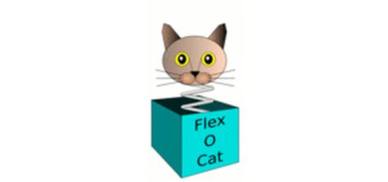 Micro- and nano-structural flexibility in mixed oxides with catalytic properties (FlexOCat)