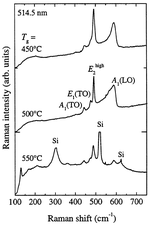 Raman Spectroscopy of Wurtzite InN Films Grown on Si