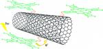Single-wall carbon nanotubes bearing covalently linked phthalocyanines - Photoinduced electron transfer