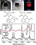 Laser writing of nanostructured silicon arrays for the SERS detection of biomolecules with inhibited oxidation