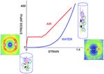 Relationship between microstructure and mechanical properties in spider silk fibers: two regimes in the microstructural changes